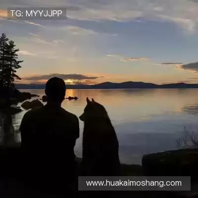赵苏静